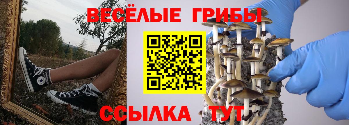 Псилоцибиновые грибы мухоморы Санкт-Петербург